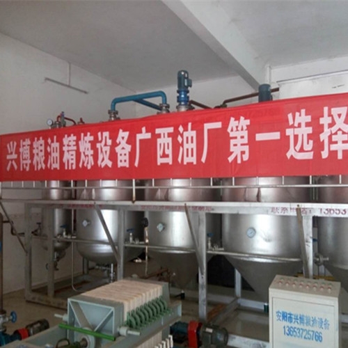 广西天峨丽康食品公司茶籽油精炼设备安装现场
